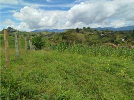  Land for sale in Penol, Antioquia, Penol