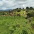  Land for sale in Penol, Antioquia, Penol