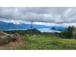  Land for sale in Cubara, Boyaca, Cubara