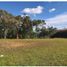 Terrain à vendre à Rionegro, Antioquia, Rionegro