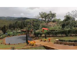 4 Bedroom House for sale in Valle Del Cauca, Cali, Valle Del Cauca