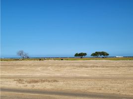  Terreno (Parcela) en venta en Manaure, La Guajira, Manaure