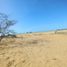  Terrain for sale in La Guajira, Manaure, La Guajira