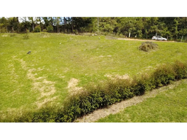  Land for sale in El Carmen De Viboral, Antioquia, El Carmen De Viboral