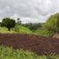  Terreno (Parcela) en venta en Ulloa, Valle Del Cauca, Ulloa