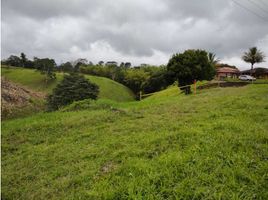  Terreno (Parcela) en venta en Ulloa, Valle Del Cauca, Ulloa