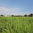  Land for sale in Yautepec, Morelos, Yautepec