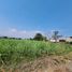  Land for sale in Yautepec, Morelos, Yautepec