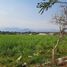  Land for sale in Yautepec, Morelos, Yautepec