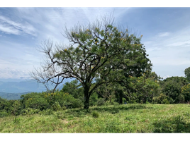  Grundstück zu verkaufen in Tamesis, Antioquia, Tamesis