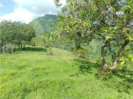  Land for sale in San Jeronimo, Antioquia, San Jeronimo