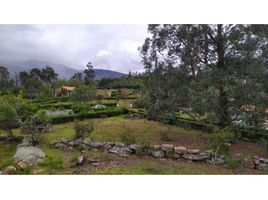  Terreno (Parcela) en venta en Villa De Leyva, Boyaca, Villa De Leyva