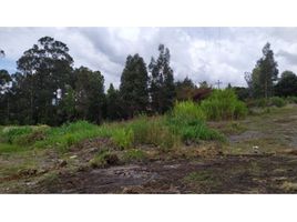  Terreno (Parcela) en venta en Villa De Leyva, Boyaca, Villa De Leyva