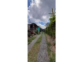  Land for sale in Salento, Quindio, Salento