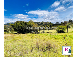  Terreno (Parcela) en venta en La Ceja, Antioquia, La Ceja, Antioquia