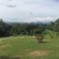  Land for sale in Cabuya, Chame, Cabuya