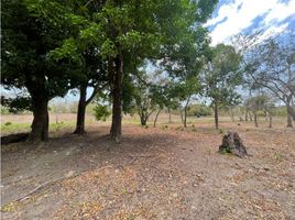  Land for sale in Rio Hato, Anton, Rio Hato