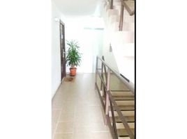 2 Schlafzimmer Appartement zu vermieten in Parque Lefevre, Panama, Parque Lefevre, Panama City, Panama, Panama