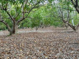  Land for sale in Compostela, Nayarit, Compostela