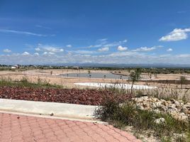  Land for sale in Lazaro Cardenas, Quintana Roo, Lazaro Cardenas