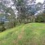  Land for sale in Envigado, Antioquia, Envigado