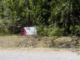  Terreno (Parcela) en venta en Bocas del Toro, Guabito, Changuinola, Bocas del Toro