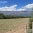  Land for sale in Junin, San Luis, Junin