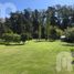  Terreno (Parcela) en venta en Brandsen, Buenos Aires, Brandsen