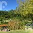  Terreno (Parcela) en venta en Brandsen, Buenos Aires, Brandsen