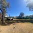  Terreno (Parcela) en venta en San Jeronimo Tecuanipan, Puebla, San Jeronimo Tecuanipan
