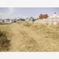  토지을(를) San Gregorio Atzompa, 푸에블라에서 판매합니다., San Gregorio Atzompa