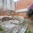 7 Bedroom House for sale in San Andres Cholula, Puebla, San Andres Cholula, Puebla