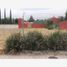  Terreno (Parcela) en venta en San Gregorio Atzompa, Puebla, San Gregorio Atzompa