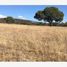  Land for sale in Atempan, Puebla, Atempan