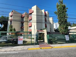 2 Schlafzimmer Wohnung zu vermieten in Zapopan, Jalisco, Zapopan