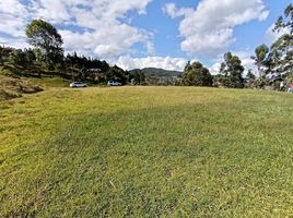  Land for sale in Guarne, Antioquia, Guarne