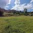  Land for sale in Guarne, Antioquia, Guarne