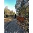  Land for sale in Cardenal Caro, Libertador General Bernardo Ohiggins, Paredones, Cardenal Caro