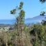  Land for sale in Chile, Puchuncavi, Valparaiso, Valparaiso, Chile