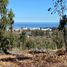  Land for sale in Chile, Puchuncavi, Valparaiso, Valparaiso, Chile