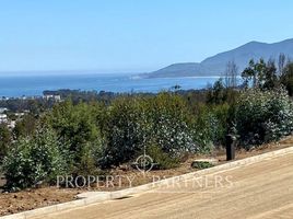  Land for sale in Chile, Puchuncavi, Valparaiso, Valparaiso, Chile