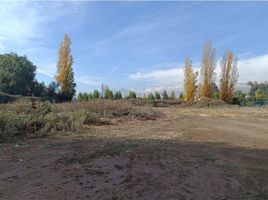  Terreno (Parcela) en venta en Colina, Chacabuco, Colina