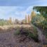  Terreno (Parcela) en venta en Colina, Chacabuco, Colina
