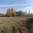  Terreno (Parcela) en venta en Colina, Chacabuco, Colina