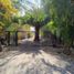  Terreno (Parcela) en venta en Colina, Chacabuco, Colina