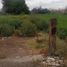 Land for sale in Soledad De Graciano Sanchez, San Luis Potosi, Soledad De Graciano Sanchez