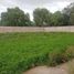  Land for sale in Soledad De Graciano Sanchez, San Luis Potosi, Soledad De Graciano Sanchez
