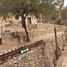  Land for sale in Armadillo De Los Infante, San Luis Potosi, Armadillo De Los Infante