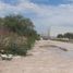  Land for rent in San Luis Potosi, San Luis Potosi, San Luis Potosi, San Luis Potosi