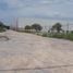  Land for rent in San Luis Potosi, San Luis Potosi, San Luis Potosi, San Luis Potosi